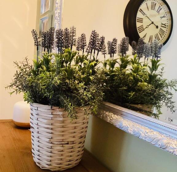 ベッドアンドブレックファースト Aude Escape