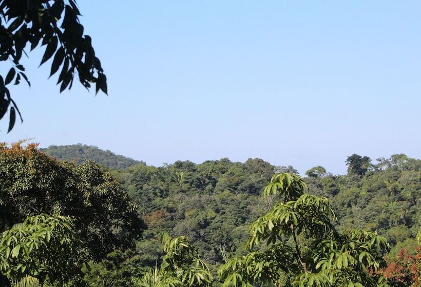 فندق Calico Jack S Village