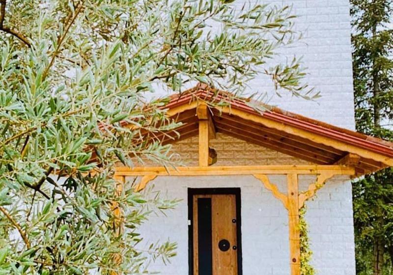 فندق Iznik Askania