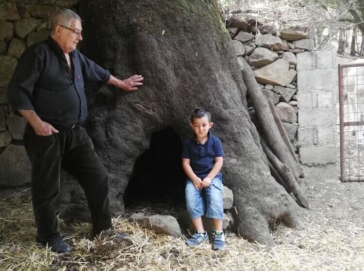 호텔 Miramonti Seulo Turismo Rurale