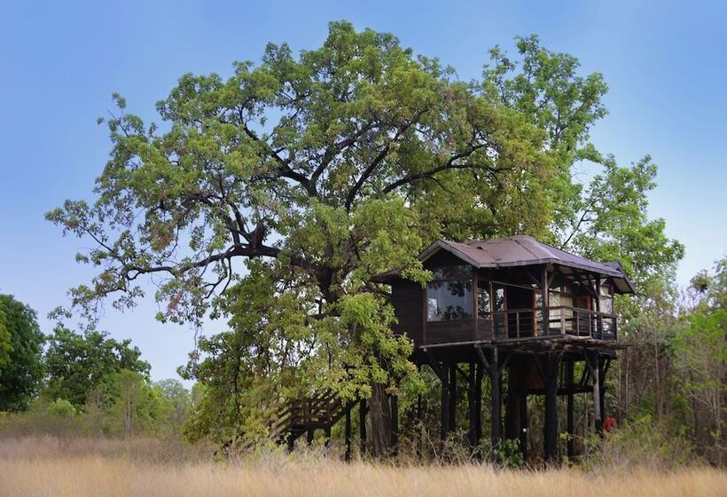 ホテル Pugdundee Safaris   Pench Tree Lodge