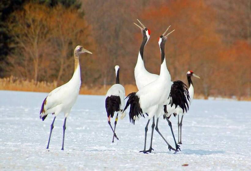 膳宿费 Heart N Tree