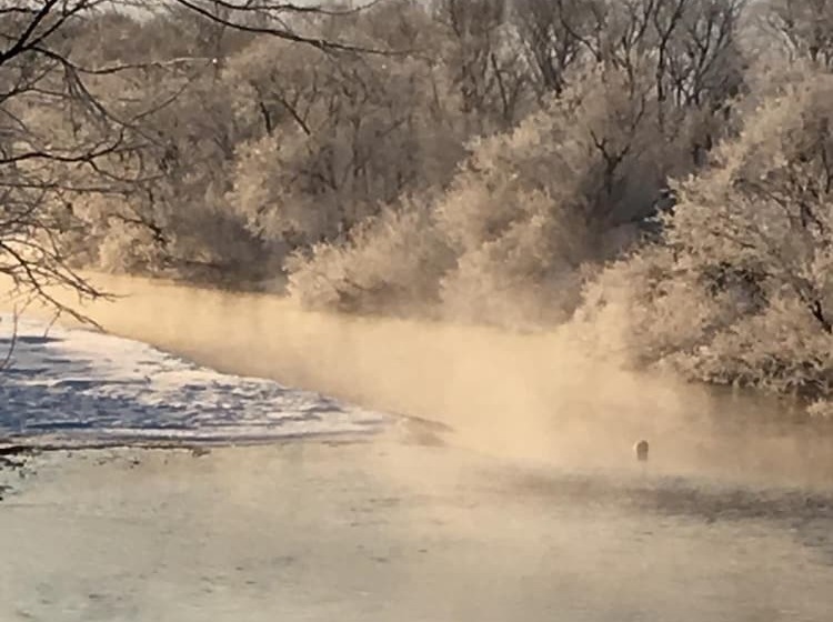 膳宿费 Heart N Tree