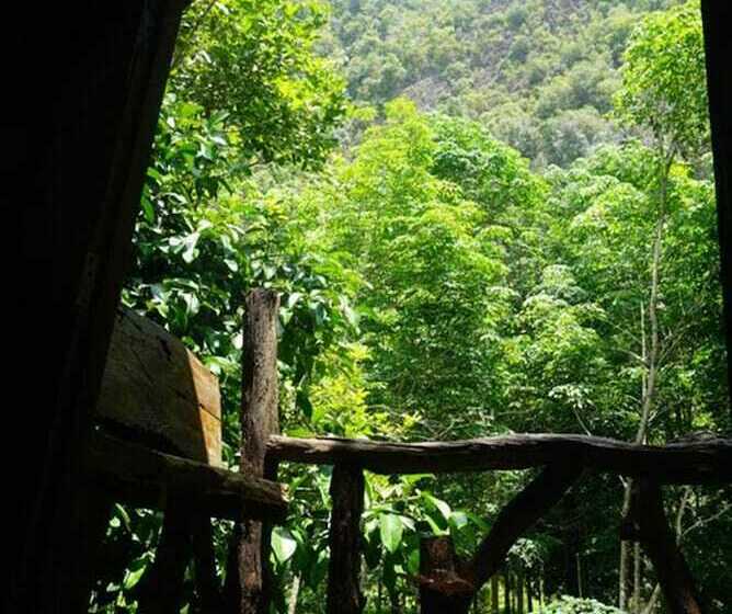 膳宿费 Khao Sok Green Mountain View