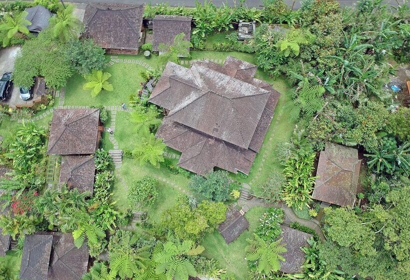 Bed and Breakfast Bali Mountain Retreat