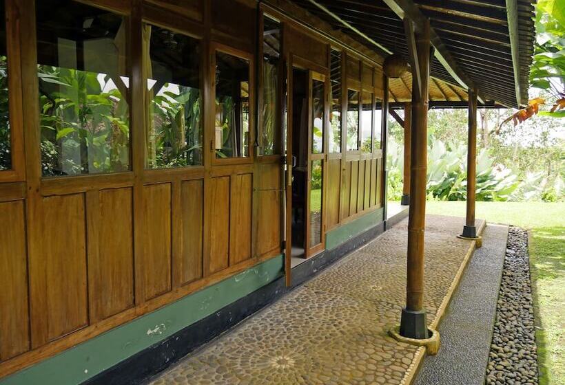 Bed and Breakfast Bali Mountain Retreat