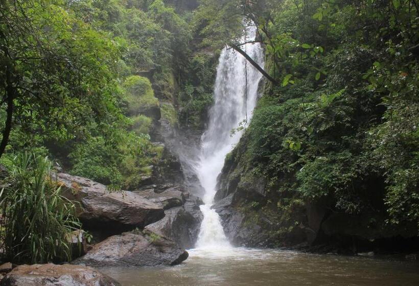Dudhsagar Plantation