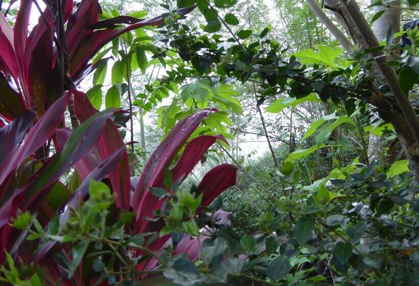 فندق Kurulu Estate