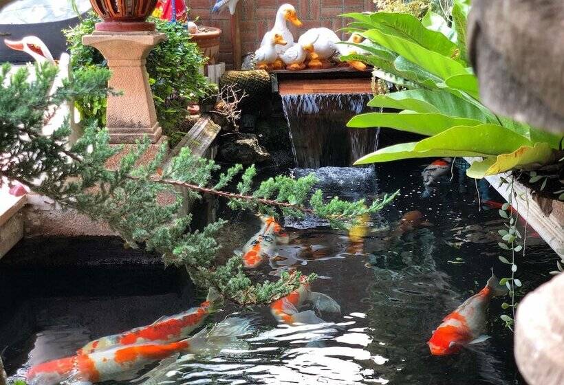 هتل Mourakot Resort