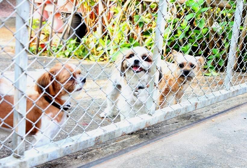 پانسیون Ban Muang Pon Home Stay