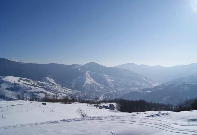 بنسيون Rakhiv Plai