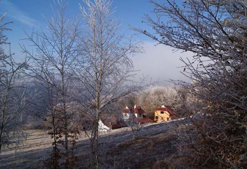 بنسيون Rakhiv Plai