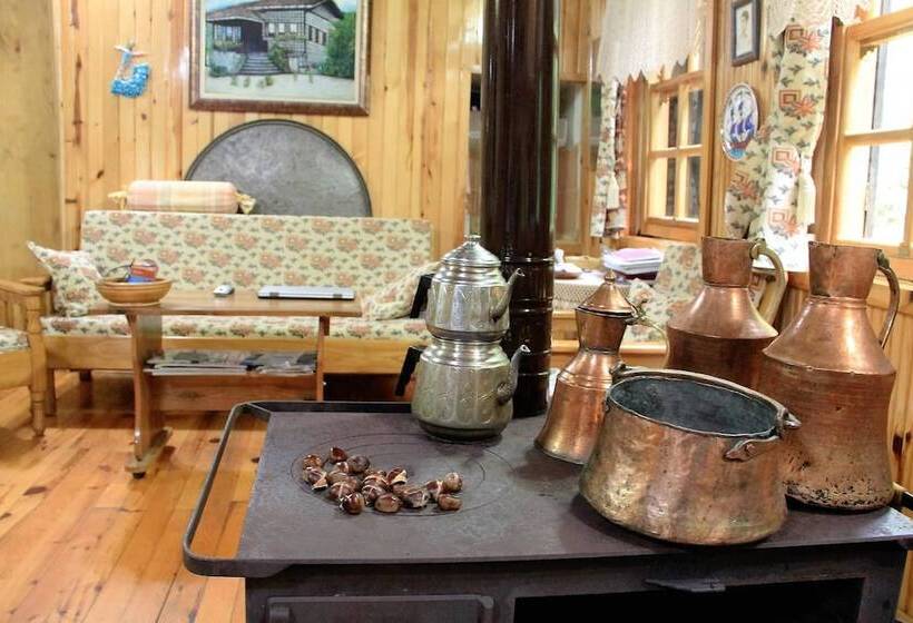 ペンション Satiroglu Konagi