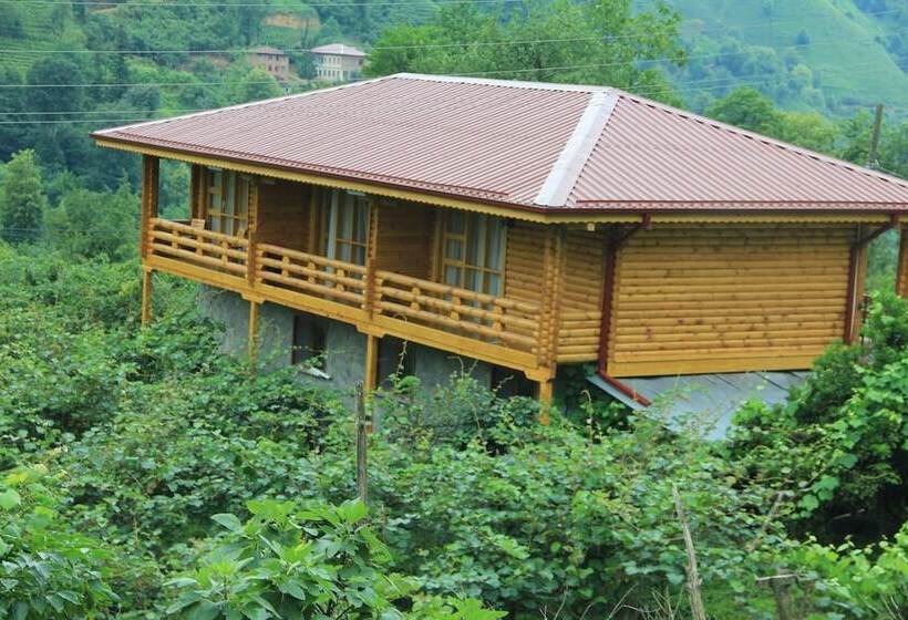 ペンション Satiroglu Konagi