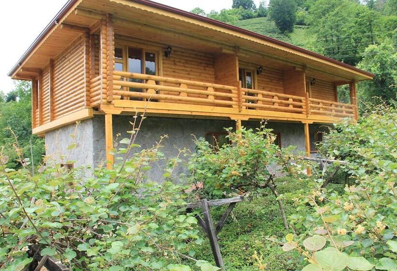 ペンション Satiroglu Konagi