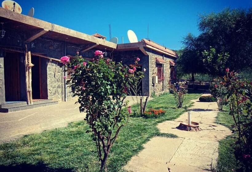 فندق صغير Tamanoucht Auberge