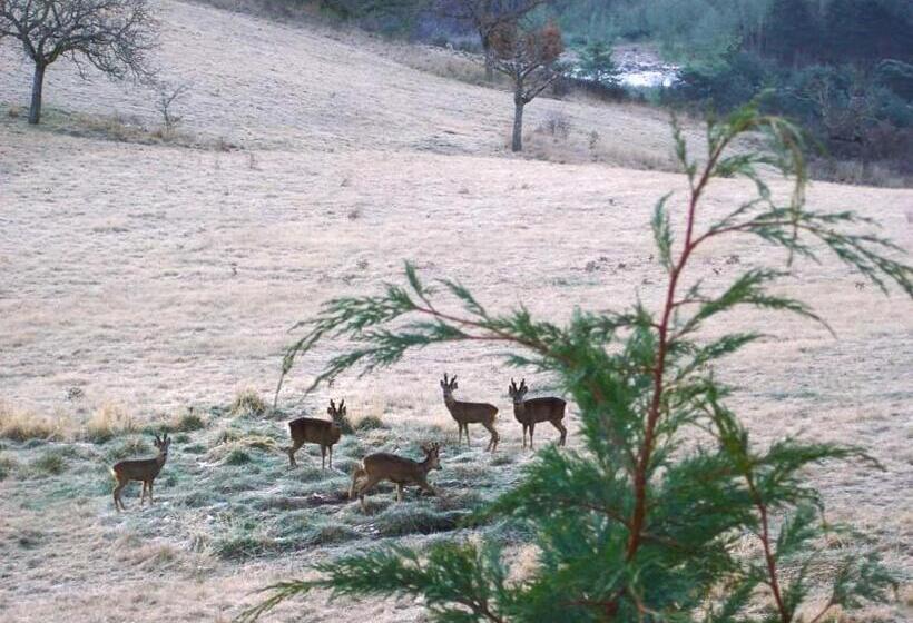 민박 La Ferme De La Condamine