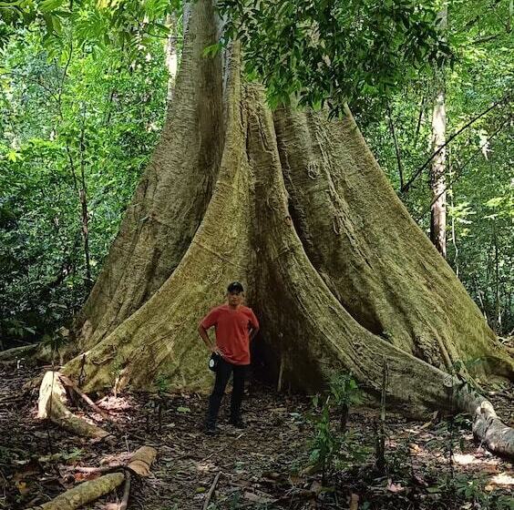 فندق Brown Andaman  Krabi