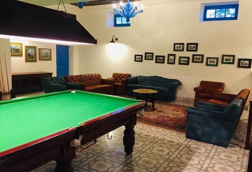 בית מלון כפרי Pine Retreat