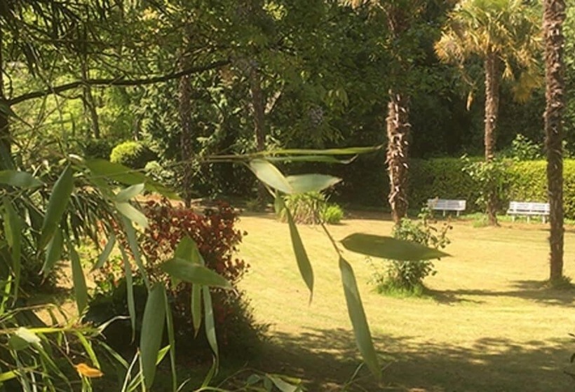 بنسيون La Maison Chicorée