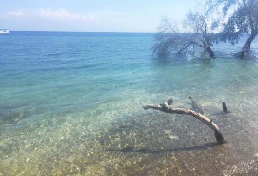 بنسيون Maleo Moyo Seaside Resort