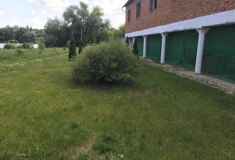 بنسيون Rafinad