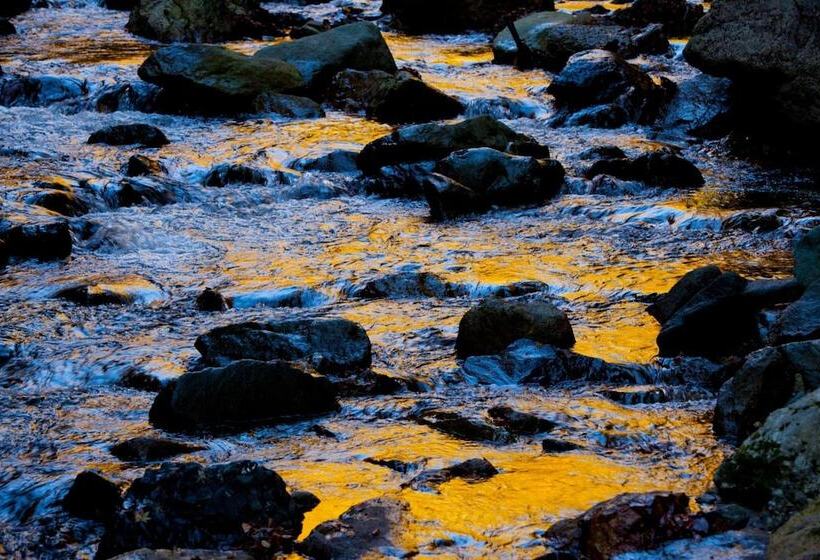 ريوكان Bunano Sato Shirakamikan