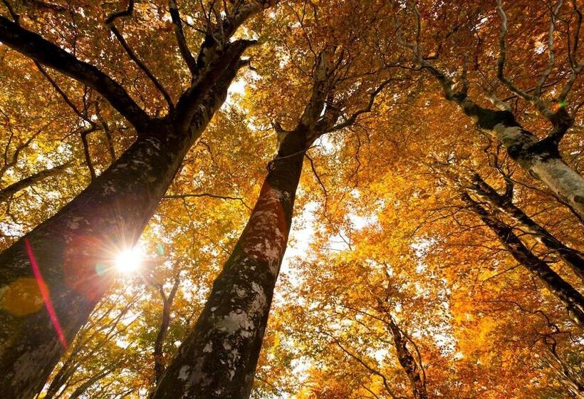 ريوكان Bunano Sato Shirakamikan