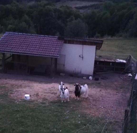 צימר Ferme Auberge à La Colline