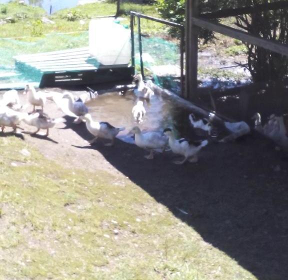 צימר Ferme Auberge à La Colline