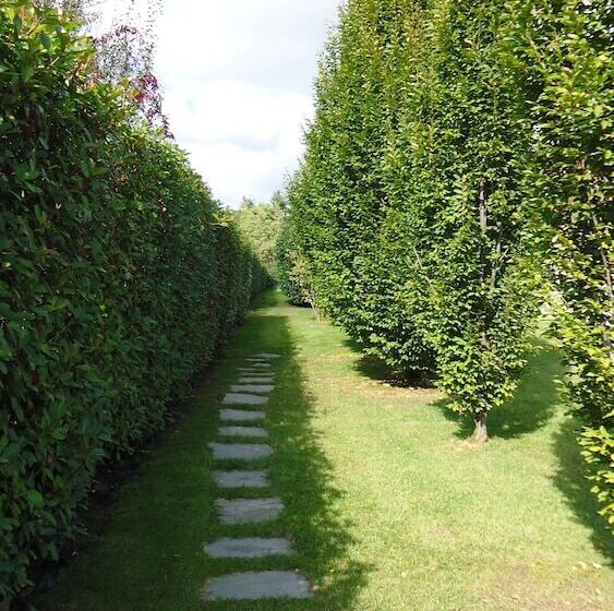 צימר Residence Le Palme