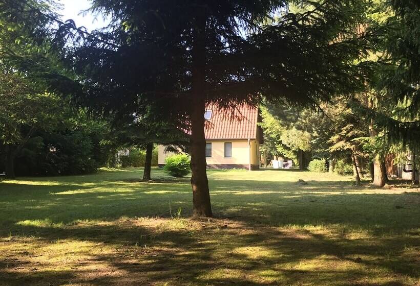 Ferienhaus Mirow Lärz   Kamin Wald Ruhe