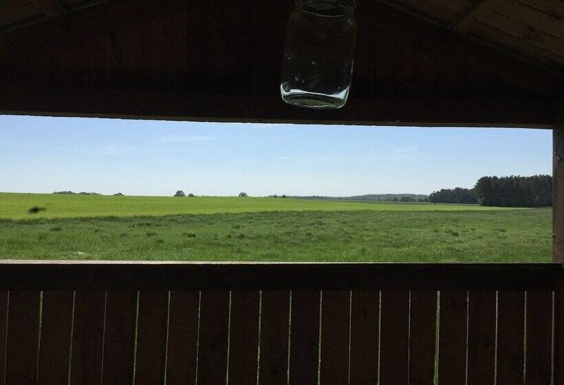 Ferienhaus Mirow Lärz   Kamin Wald Ruhe