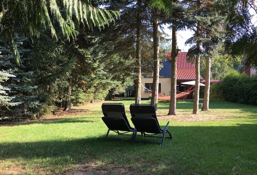 Ferienhaus Mirow Lärz   Kamin Wald Ruhe