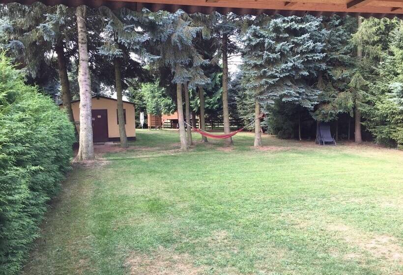 Ferienhaus Mirow Lärz   Kamin Wald Ruhe