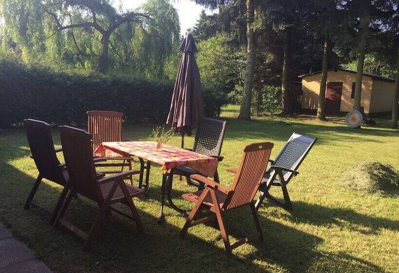 Ferienhaus Mirow Lärz   Kamin Wald Ruhe