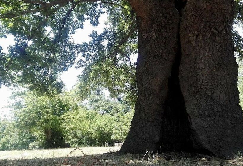 여관 Parco Dei Crisciuni Villaggio Camping