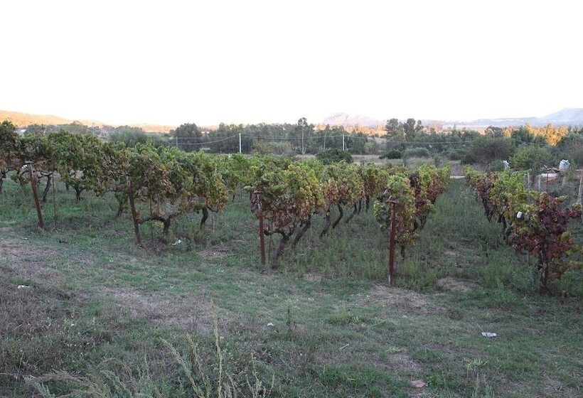 فندق ريفى Agriturismo B&b Sa Inza