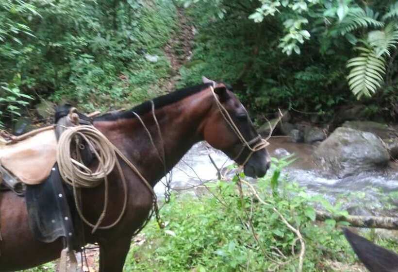 בית מלון כפרי Santa Maria Volcano Lodge