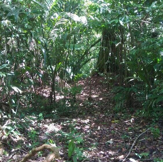 בית מלון כפרי Santa Maria Volcano Lodge