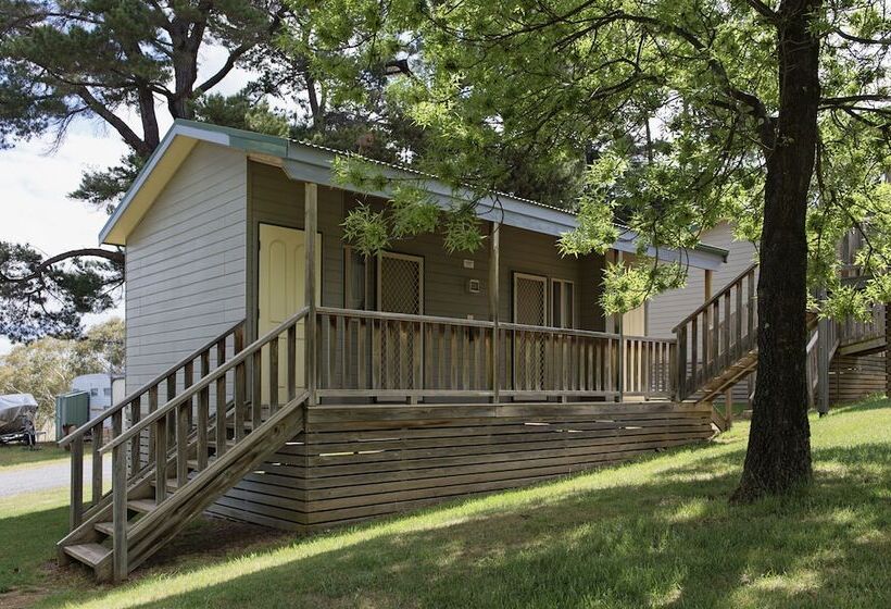 리조트 Rainbow Pines Tourist Caravan Park