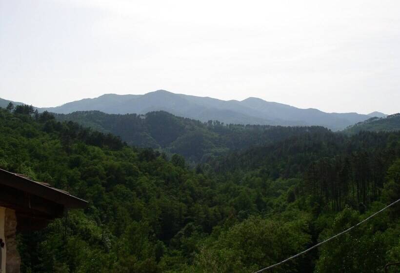 B&b Il Tulipano