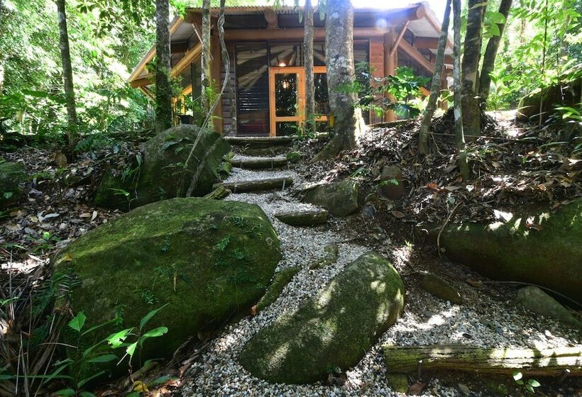Daintree Cascades