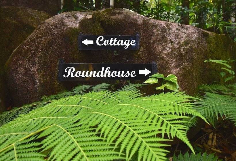 Daintree Cascades