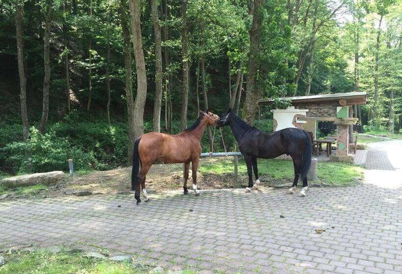 فندق Huttenmuhle Hillscheid