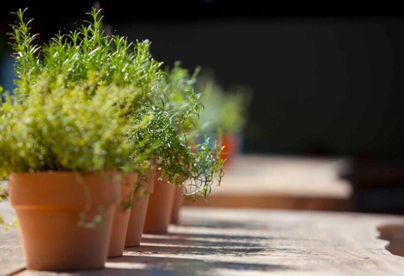 فندق Huttenmuhle Hillscheid