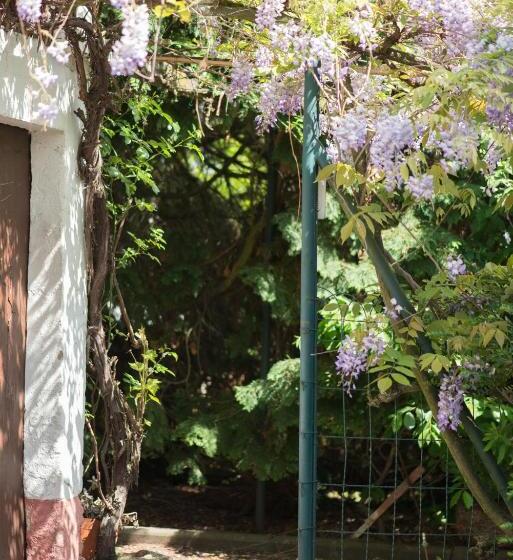 بنسيون Appartement T3 Aux Deux Cigognes Gries