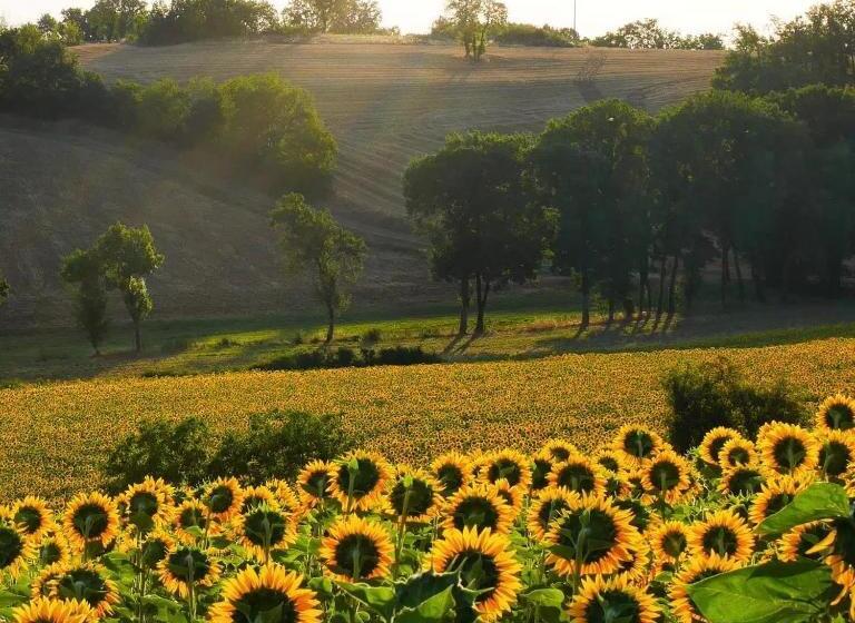 بنسيون La Bastide