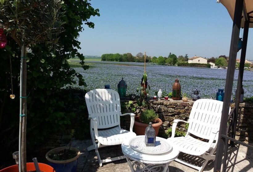 بنسيون Le Patronage