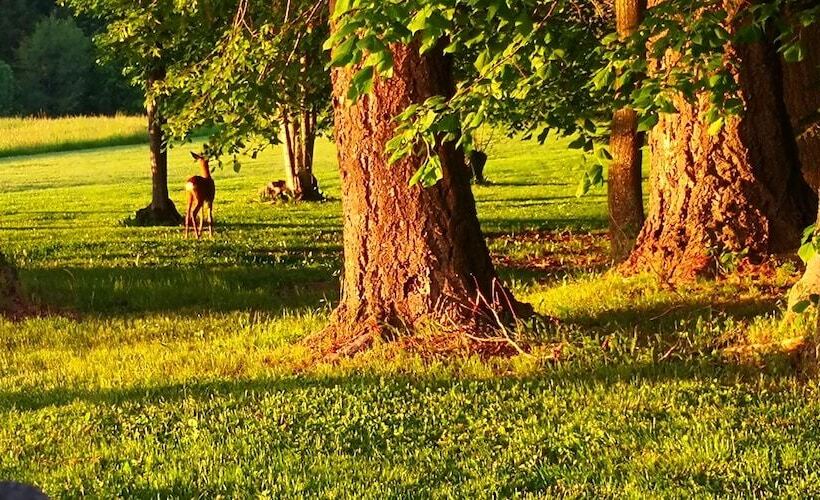 مبيت وإفطار Domaine De La Frissonnette